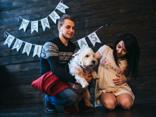 Unique Ways to Include Pets in Your Wedding Personalization