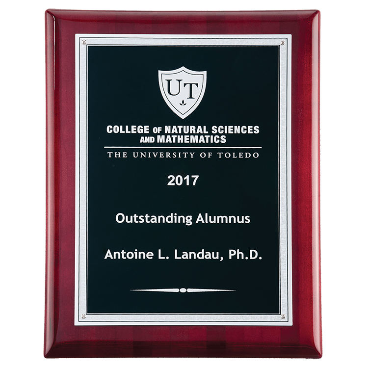 9" x 12" Rosewood High Luster Plaque With Black/Gold Plate